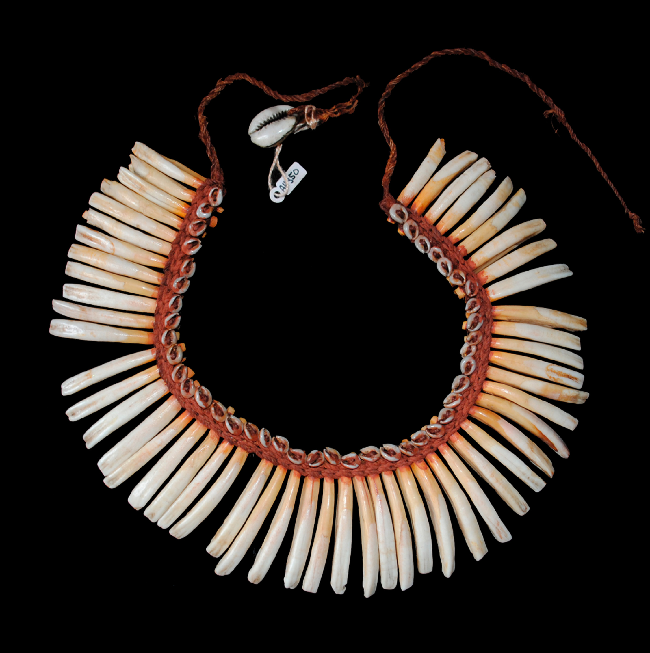 Old Pigs Teeth Necklace Eastern Highlands Province Papua New Guinea