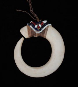 Shell Boars Tusk Shaped Ornament Papuan Gulf Area Papua New Guinea