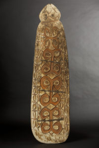 A Fine OId New Guinea War Shield Northwest Asmat Area West Papua Irian Jaya Indonesia