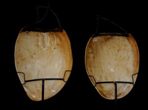 Bailer Shell Necklaces, Southern Highlands Papua New Guinea