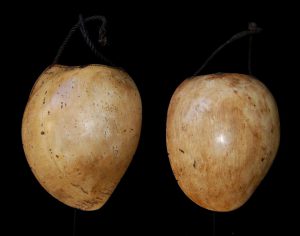 Bailer Shell Necklaces, Southern Highlands Papua New Guinea