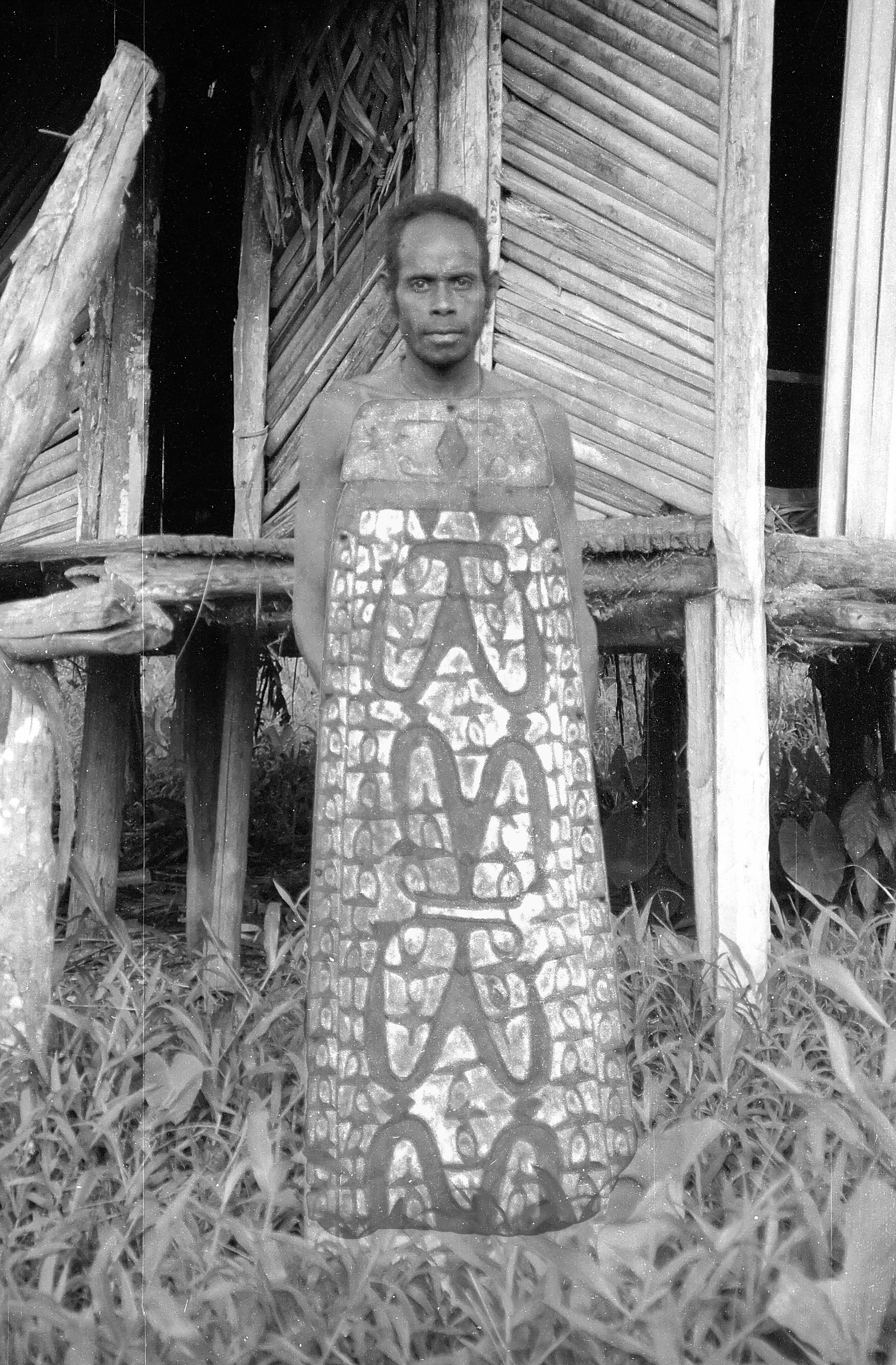 Old Shield Asmat People West Papua Irian Jaya Indonesia