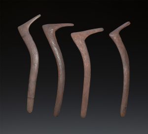 Fine Old First Australians Hooked Boomerangs Tennant Creek Northern Territory of Australia