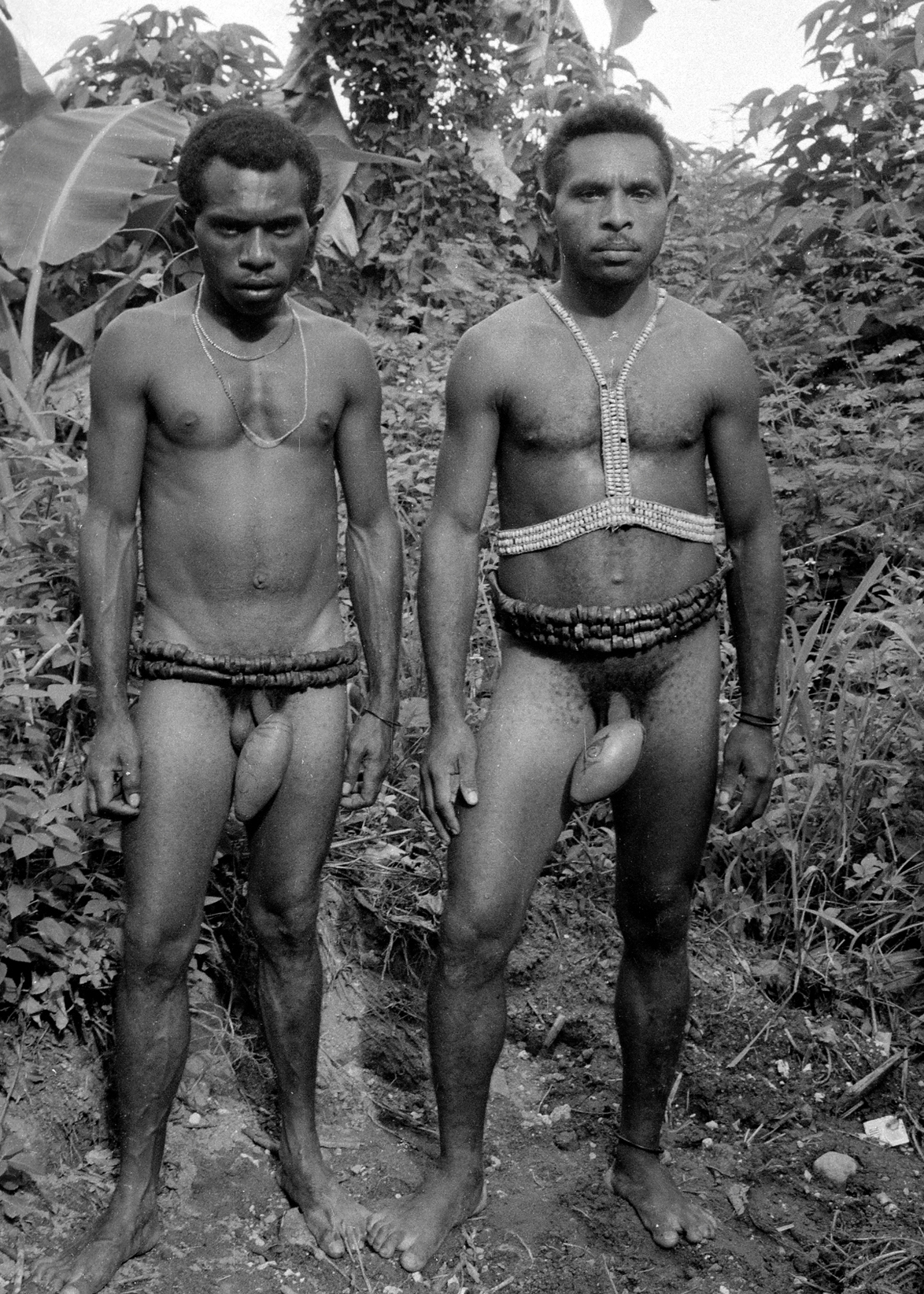 Belts and Gourd Set Waris District West Papua Irian Jaya Indonesia