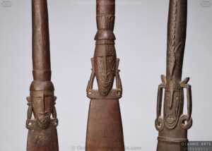 Superb Old New Guinea Sago Stirrer Huon Gulf Area Morobe Province Papua New Guinea