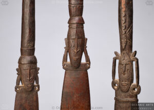 Superb Old New Guinea Sago Stirrer Huon Gulf Area Morobe Province Papua New Guinea