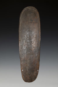 A Superb Old New Guinea War Shield Ramu River Area Madang Province Papua New Guinea