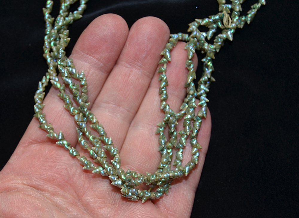 A Superb Old Australian Tasmanian Indigenous Maireener Shell Necklace19th C
