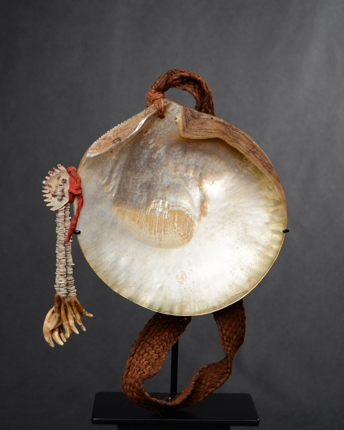A Superb Shell Pectoral Ornament New Britain Island Papua New Guinea