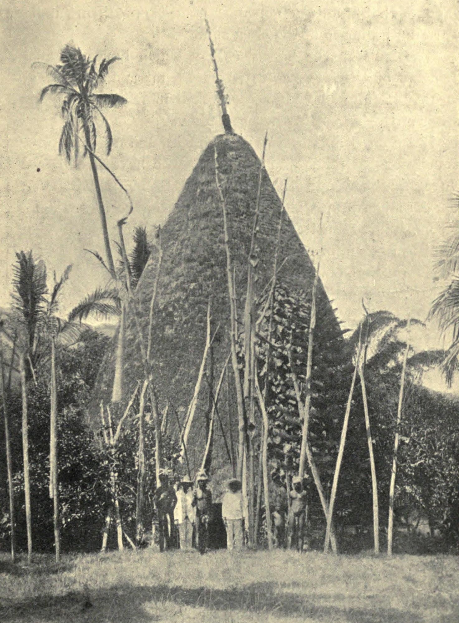 A Superb Chief’s House Roof Spire, Grande Terre Island, New Caledonia 18-19th Century