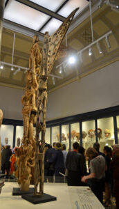 Exhibition Pacific Spirit at The Australian Museum Sydney West Papuan Artworks from the Todd Barlin Collection