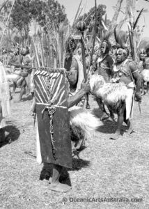 A Superb Old New Guinea Club Angu People Merawaka Area Eastern Highlands Papua New Guinea