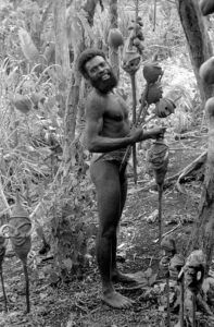 Two Fine Old Vanuatu Ceremonial Heads or Temmes Nevimbur Malekula Island Vanuatu