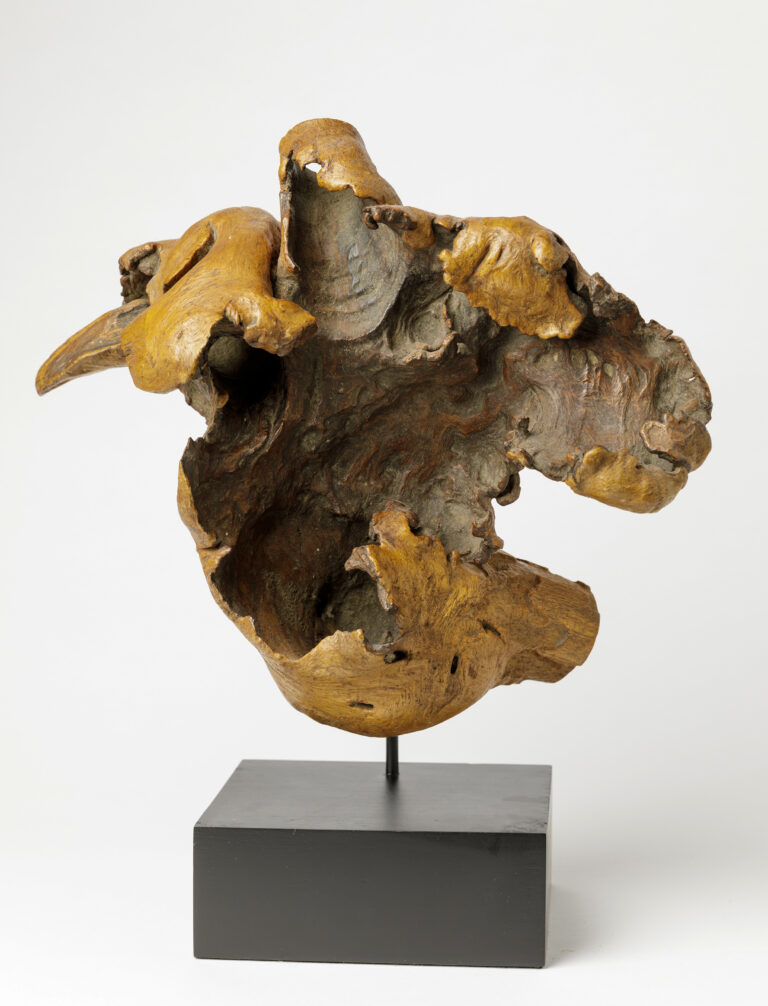 Superb Old Japanese Natural Form Burl Wood Scholars Object for Ikebana Flowers