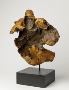 Superb Old Japanese Natural Form Burl Wood Scholars Object for Ikebana Flowers
