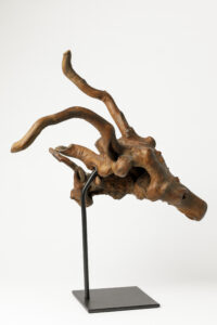 Superb Old Japanese Natural Form Burl Wood Scholars Object for Ikebana Flowers